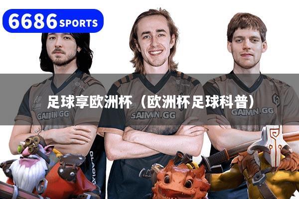 足球享欧洲杯（欧洲杯足球科普）