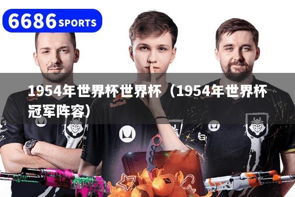 1954年世界杯世界杯（1954年世界杯冠军阵容）